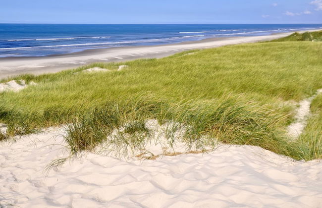 "Elsa" - 700m from the sea - Foto 5