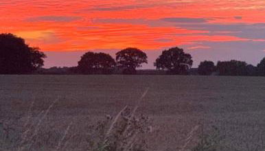 Starry Meadow & Rescued Animal Experiences - Foto 4