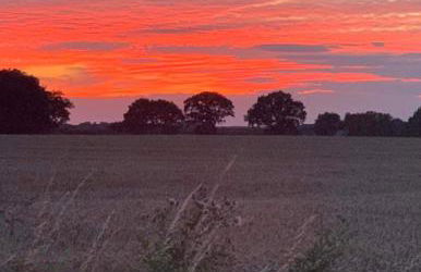 Starry Meadow & Rescued Animal Experiences - Foto 4