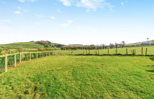 Sunflower - Uk42360 - Foto 16