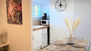 Studio Le Plum'Art, 10mn Zoo de Beauval avec jardin - Photo 4