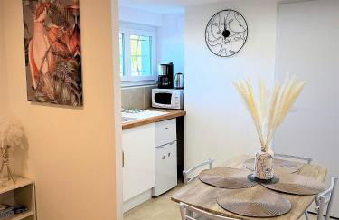 Studio Le Plum'Art, 10mn Zoo de Beauval avec jardin - Foto 4