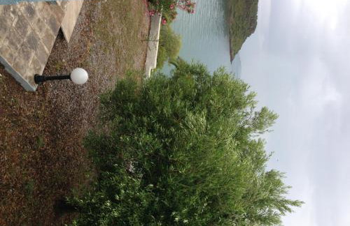 George Paradise - Foto 13