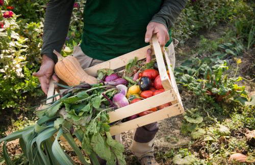 Borgo Pignano Volterra Tuscany - Photo 152