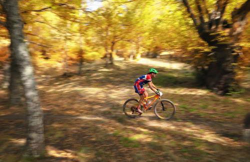 Casa Turismo Rural O FILANDÓN - Foto 25