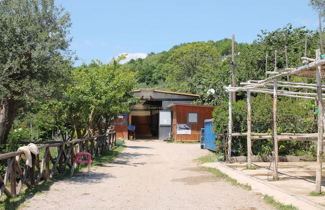 Agriturismo Piccolo Paradiso - Foto 37