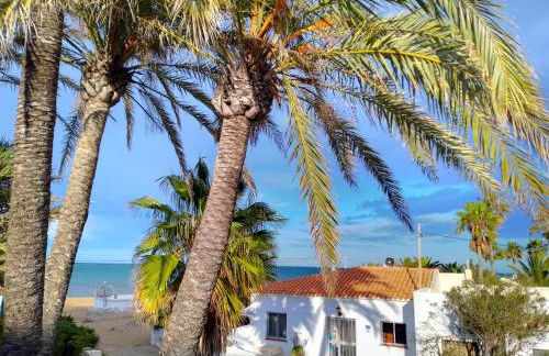 Villa at seafront with private garden-655 - Foto 1