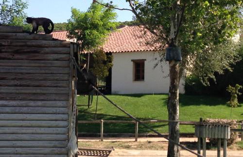 Apartamento Turistico Cigüeña de Arguedas - Foto 19