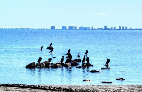 Bonito Amanecer - Foto 31