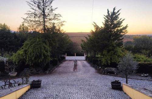 Quinta da Libelinha Alojamento Local - Mirandela - Foto 13