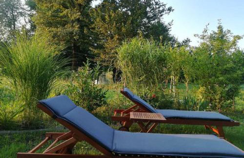 ČAROBNA ŠUMA ***(magic forest) - Foto 34