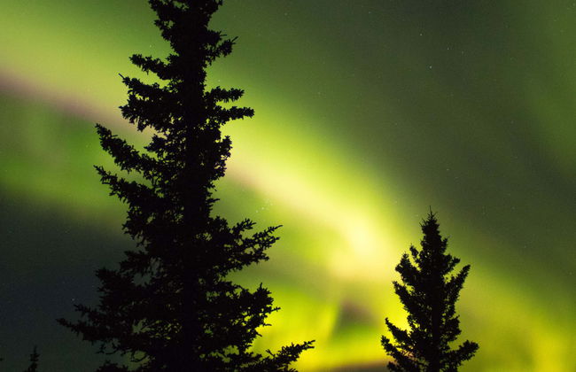 Tour dell'aurora boreale e attraversamento del Circolo Polare Artico - Foto 1