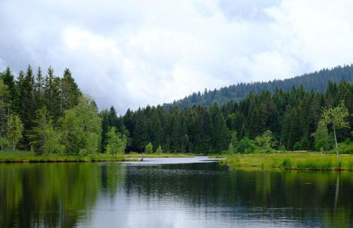 Appart'Hôtel LIDO au bord de l'eau - Foto 56