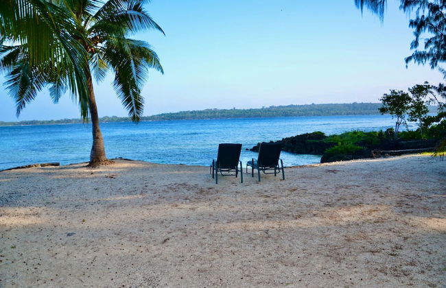 Tropical Haven - Foto 16