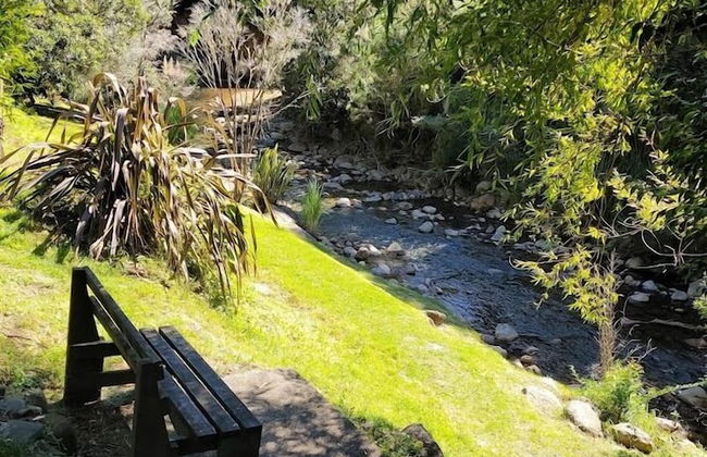 Dickson Holiday Park - Foto 59