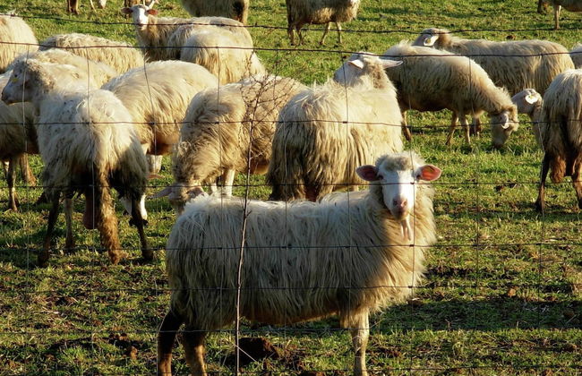 Unique Sorano Stay With Pool - Foto 30