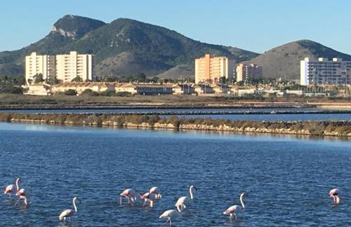 ShoreHouse Verdemar Dos Primera linea Playa Honda - Foto 46