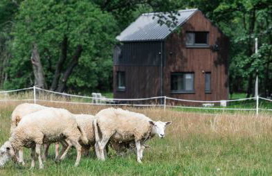Vilanovka - domki z prywatną balią przy stawie i lesie - Foto 54