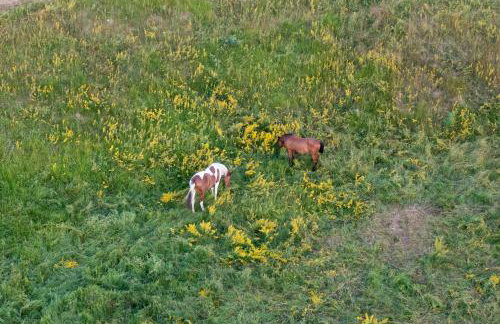 Mountain Houses Volta - Foto 28