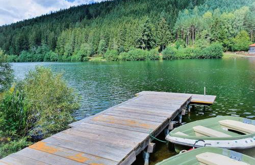 Haus Löwe - Komplettes Ferienhaus am Badesee - Foto 35