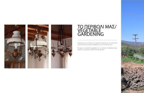 Paul's house - Photo 13