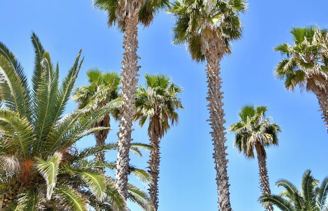 Stay at Beachfront Villa Lilia in Pefkohori, Halkidiki for a Dreamy Vacation - Foto 17