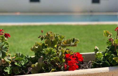 Las Terrazas I - Primera línea de playa con Netflix, Disney plus y Prime Video - Foto 42