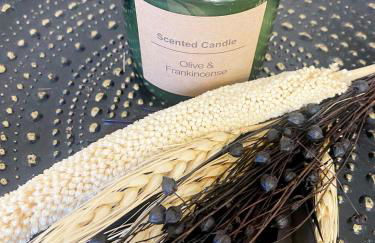 Apartment ANi I 2Zi Göppingen I Neues Bad I Terr & Garten I ruhig an Fahrradstraße I nahe EWS Arena I E-Parkplatz auf Anfrage - Foto 8