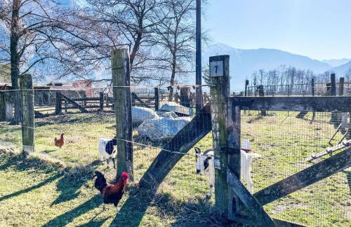 Apartment Lucia by Interhome - Foto 17