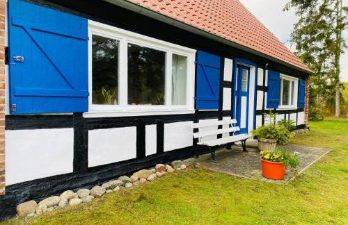 Ferienhaus am Seegrund - Foto 43