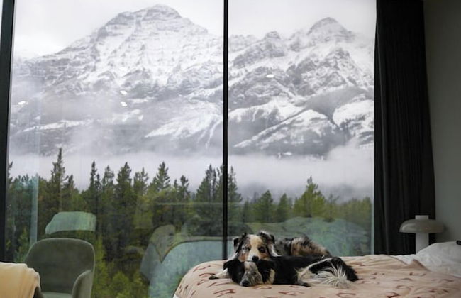 Skyridge Glamping - Foto 19