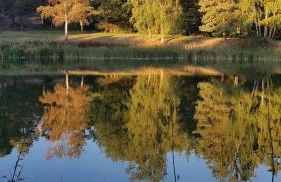 Les Brizards, L'Auberge - Morvan (8 personnes) - Foto 30