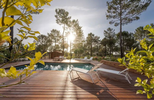 Herdade de Montalvo - Foto 49