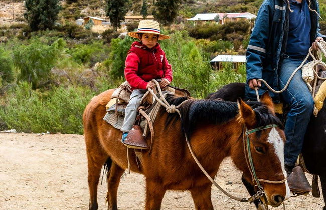 Horseback Riding in Cochiguaz - Photo 8