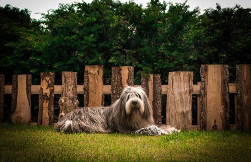 Chalet Wickie - Foto 8