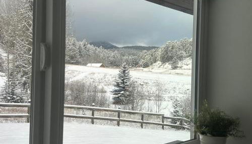 Modern barn by the creek - Foto 4