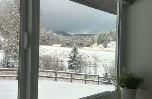 Modern barn by the creek - Foto 4