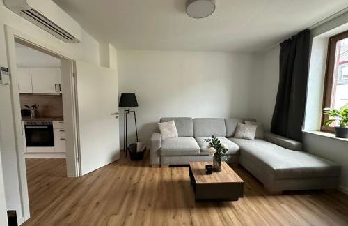 Ferienwohnungen zum Goldgräber - Foto 25