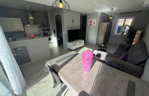 Villa en Provence 2 T3 jardin clos et SPA - Foto 5