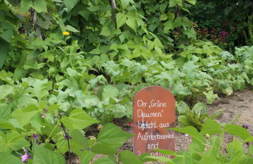 Sigmundenhof Schonach - Foto 53