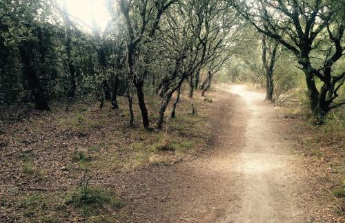 The Escorial House - Foto 27