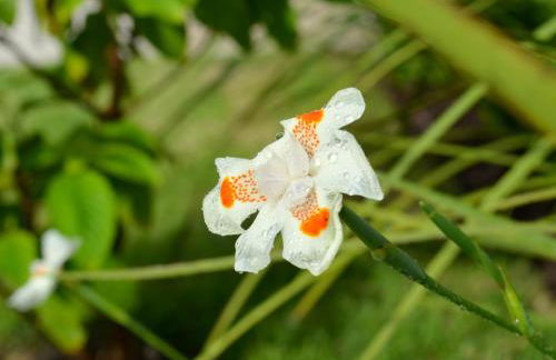 Residencial Portinari LTDA - Foto 45