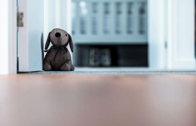 Coast Beachfront Retreat - Photo 43