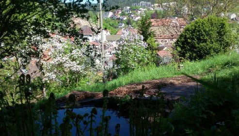 Meisterhaus Alpirsbach Loft - Foto 3, Garden