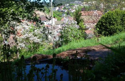 Meisterhaus Alpirsbach Wohnung OG - Foto 11