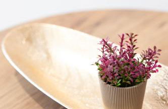 Etheria Comfort House - Photo 8