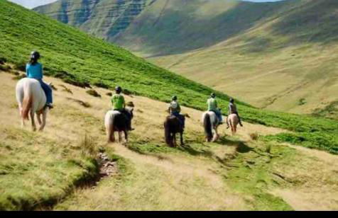 Kookaburra Cottage - Foto 30