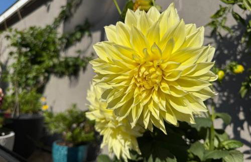 Modern Studio with Private Patio - Foto 42