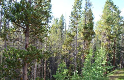 Beaver Village Unit #0621 - Foto 23