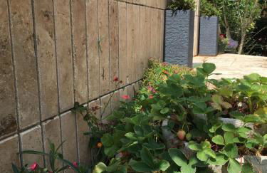 Grazioso appartamento alle porte del chianti - Foto 34